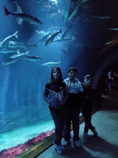 IMG_20260520_123045034